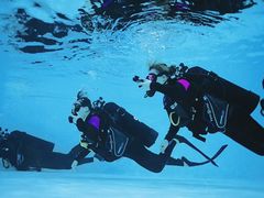 -上海潜殿潜水中心