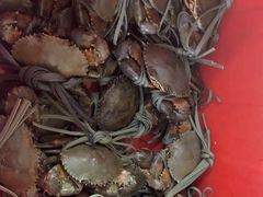 -老财炒饭·熟地蟹·冬瓜蟹