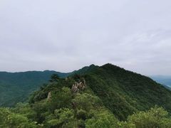 -午潮山国家森林公园