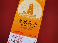 -大慈恩寺(大雁塔)