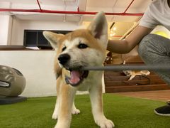 -YCHL Studios健身工作室(市二宫店)