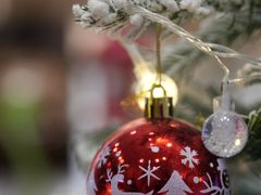 -Rabbit Cafe私房西餐甜点咖啡(栖霞路店)