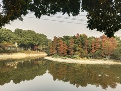 -华南理工大学五山校区-运动场