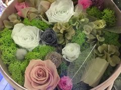 -杭州街角花屋花店(闻堰店)