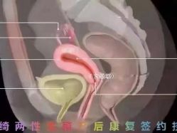 -梦斯绮塑美中心(通州富力星光店)