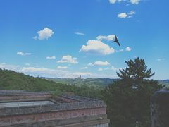-须弥福寿之庙