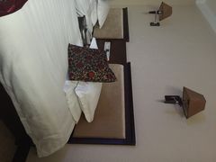 莫干山卢球假日酒店-卢球假日酒店(志远南路店)