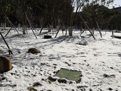 -金陵中学(河西分校)