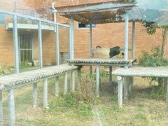-苏州太湖国家湿地公园