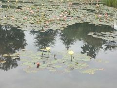 -清溪水库