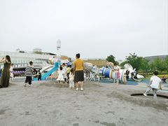 -九龙湖公园