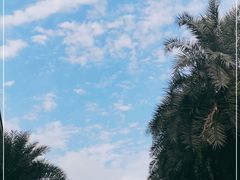 -越弥越南传统美食馆