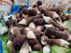 -大观篆新农贸市场
