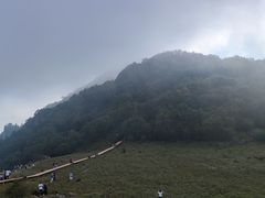 -白草畔自然风景区