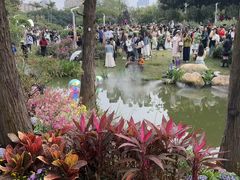 -人民公园(罗湖区)