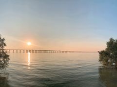 -宝安西湾红树林湿地公园