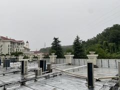 -随州碧桂园凤悦凤凰酒店