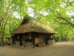 -奈良公园