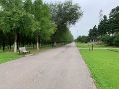 -永定河休闲森林公园