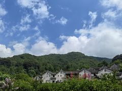 -雁南飞茶田景区