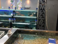 -盒马鲜生(宝地店)