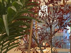 -沼津港精致料理·寿喜烧·烧鸟(漕河泾印象城店)