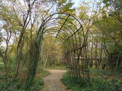-鹅湖玫瑰文化园