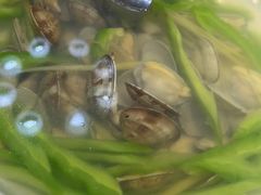 -闽公馆·客家私房菜·商务宴请·包厢(杏林橡树湾店)