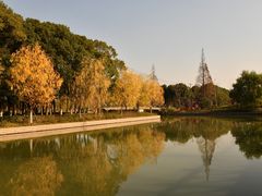 -九科绿洲