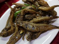 -蛇口康乐快餐鱼仔档(翠苑小区店)