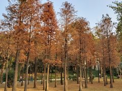 -晓港公园