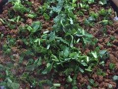 驴肉焗饭-苏记餐厅(叠南店)