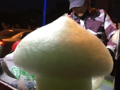 -南湖大桥