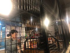 门面-食潮汕头鲜牛馆(望京保利店)