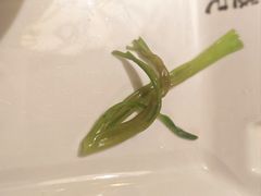 -吴越荣记苏州菜·松鼠桂鱼 100% 活鱼现做(月光码头店)