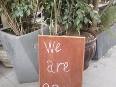 -Green wood coffee绿木咖啡