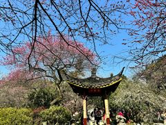 -杭州植物园