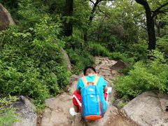 -阳台山自然风景区