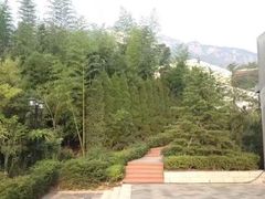 -龙门崮风景区