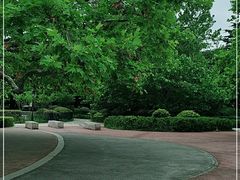 -青岛中山公园-索道售票处