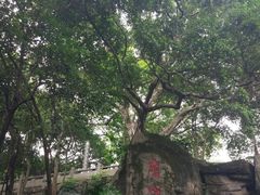 -船政文化景区-罗星塔公园