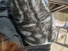 -百金通黄金回收首饰定制维修(珠江路总部)