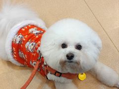 -瑞派·关忠动物医院(国瑞店)