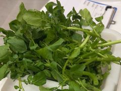 -正能量脆肉鲩火锅
