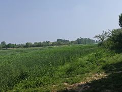 -仙岛湖旅游风景区
