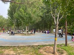 -回龙观体育文化公园