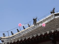 -牟氏庄园