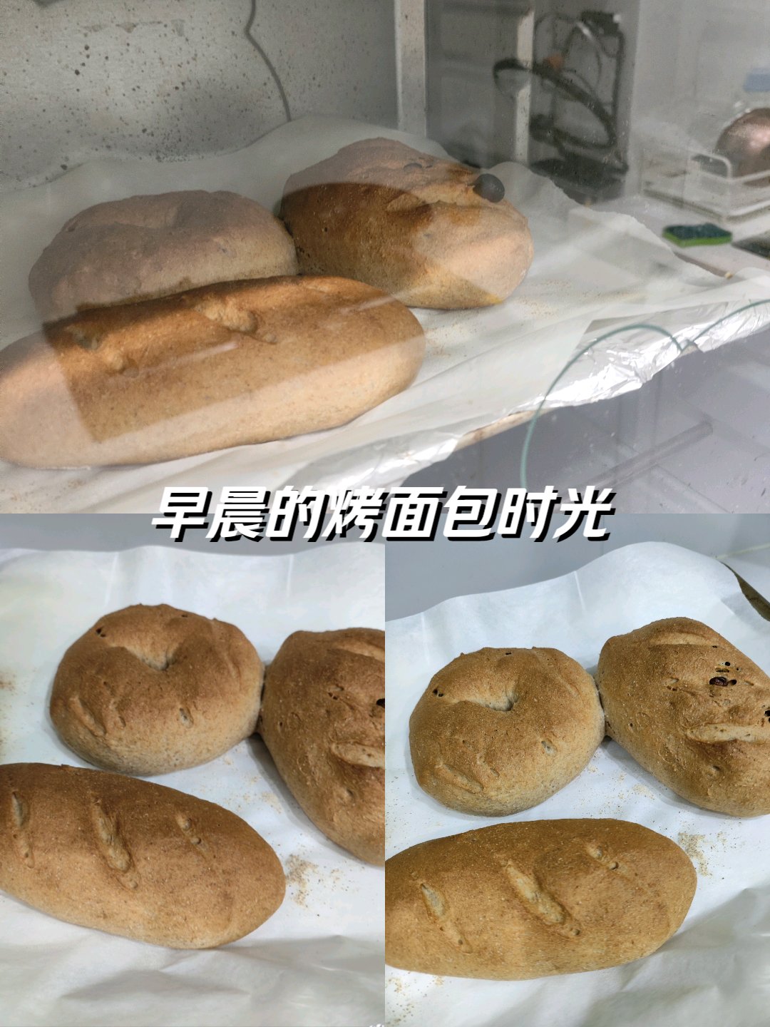 小小全麦面包还不拿下