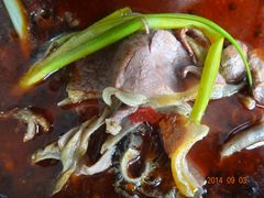 红汤羊肉-安稳稳鑫羊肉