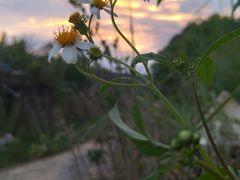-英西峰林·洞天仙境